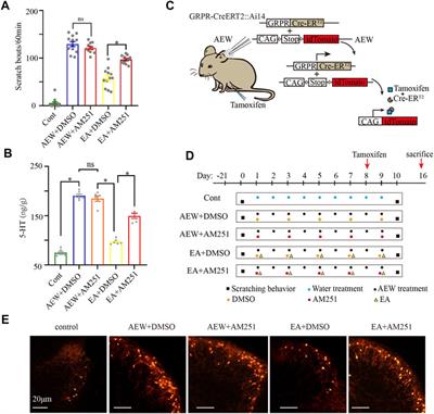 Electroacupuncture reduces chronic itch via cannabinoid CB1 receptors in the ventrolateral periaqueductal gray